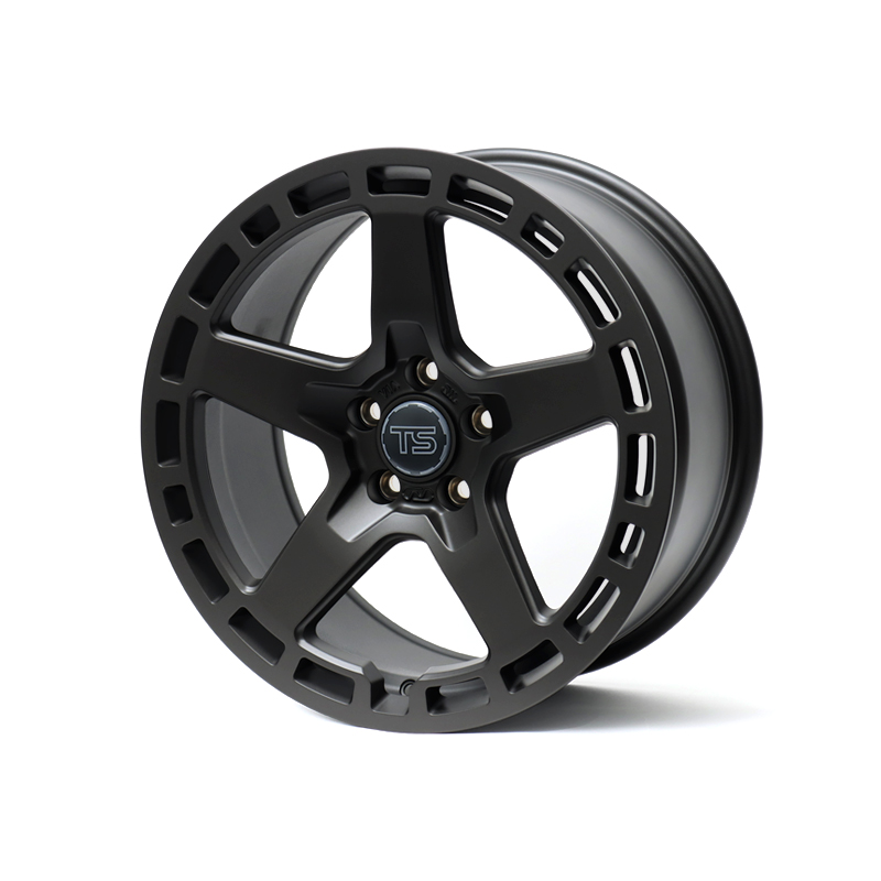 NEUSPEED TSe53 88.53.04BS, 88.53.04GS, 88.53.05BS, 88.53.05GS